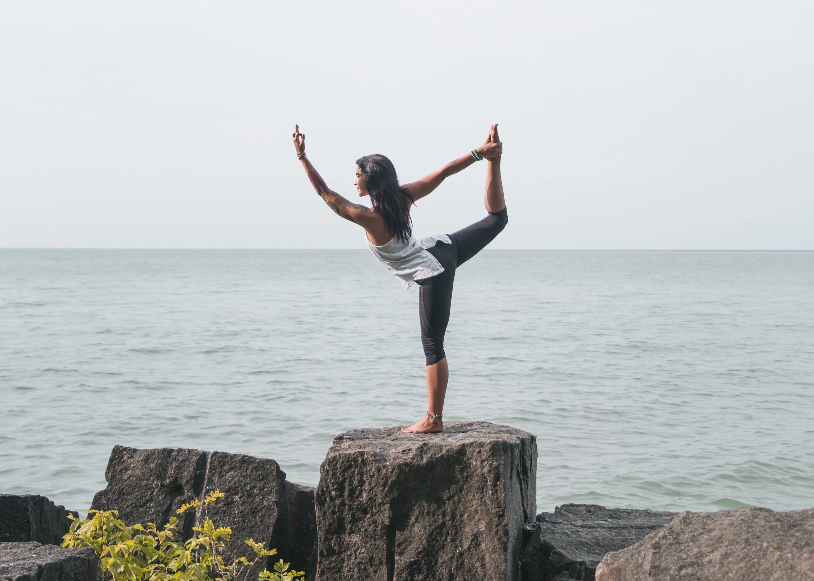 Elevate Your Everyday Lifestyle